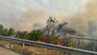 Пожар затвори за движение участъка от АМ Марица край Свиленград
