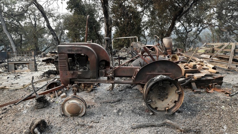 Изображение 317730