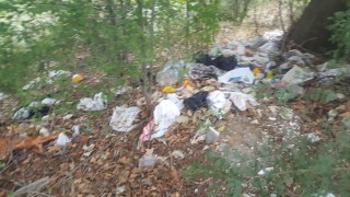 Служители на Общинско предприятие Паркове и зони за отдих почистват