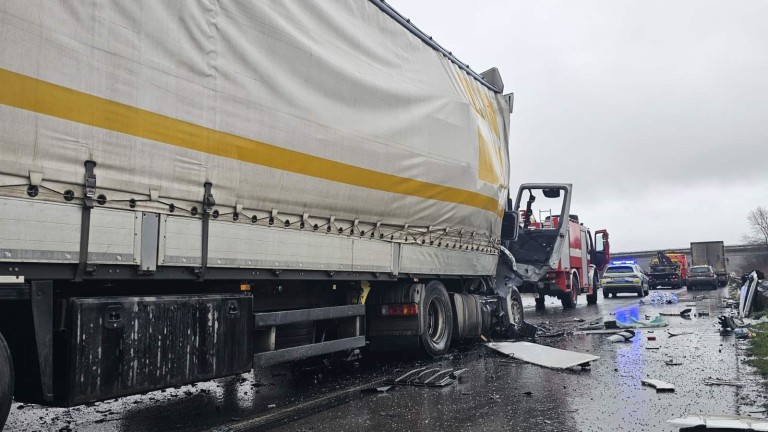 Изображение 749330