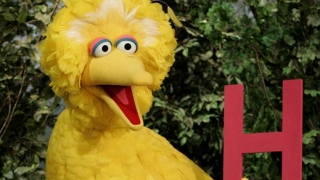 Не давайте на детето си да играе с Голямото пиле