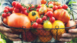 Какво съдържат различните цветове домати