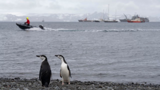 Месец преди да бъде обявена пандемията от коронавирус маестро Теодосий