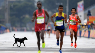 "Изненада": Кенийци спечелиха престижен полумаратон