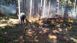 Нов горски пожар пламна днес на Сакар планина предаде bTV