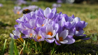 Днес преди обяд в по голямата част от страната ще бъде
