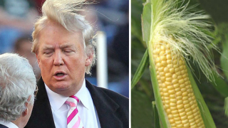 Каква е тайната на косата на Доналд Тръмп?