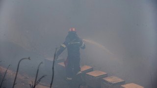 Пожарните и спасителните служби на Гърция се борят с горски