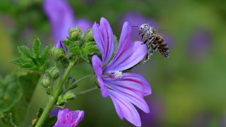Днес въздушната маса над страната временно ще се стабилизира Ще