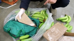 Хванаха 2,6 тона кокаин в пратки с банани в Колумбия