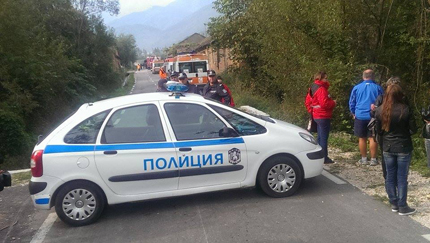 Изображение 173131