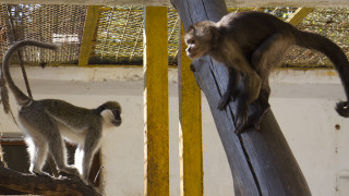 Обновяват зоопарка във Варна със заем от 1 2 млн лева