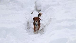 Днес ще продължи да духа умерен вятър от изток североизток и