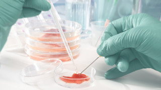 За първи път одобриха продажбата на култивирано месо произведено в