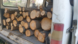 Нарушител се опита да подпали бус с незаконна дървесина и заля горски с бензин