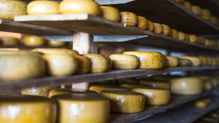 Производството на дижонската горчица неотдавна беше засегнато от изменението на