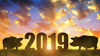 Утре 5 февруари започва новата година според китайския календар която