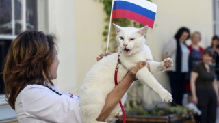 Котаракът Ахил от известния музей Ермитаж в Санкт Петербург който