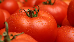 С колко ще поскъпнат доматите, след като Турция забрани износа за България