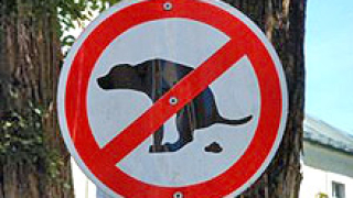 Масови проверки на собствениците на кучета