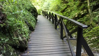 Група туристи са евакуирани от Тетевенския Балкан Това съобщи кметът