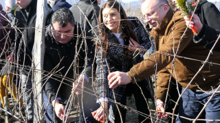 Виненият отрасъл в България има своето стабилно място и се