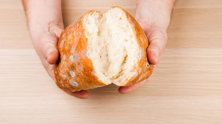 Защо е опасно да ядем дори чистата част от мухлясалия хляб