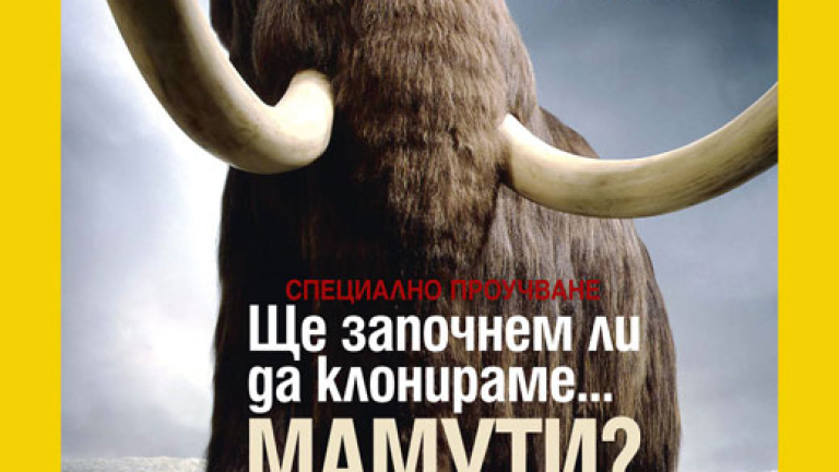 Изображение 76831