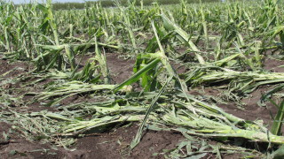 Русия въведе извънредно положение в своя сибирски регион Красноярск поради