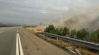 Пожарът в Харманлийско "прескочи" и в община Любимец