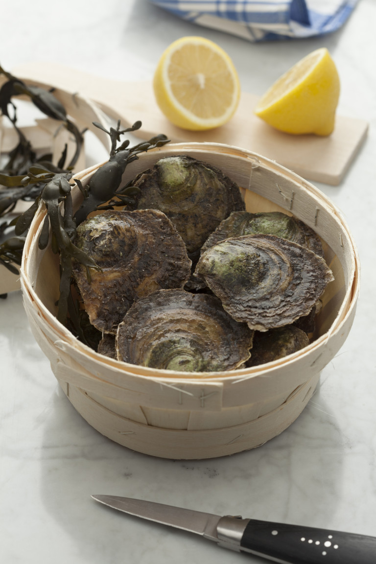 В района Агдер добивът е неразрешен