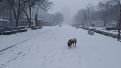 Жълт код за ниски температури е обявен за 14 области