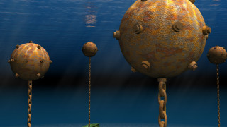 Турските власти предупредиха корабите да стоят настрана докато водолазен екип