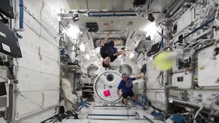 Изображение 338631