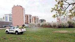 Столична община започва да пръска срещу бълхи и комари