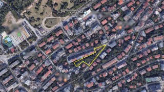 Жителите на столичния квартал Лозенец алармираха проблем с дърветата в