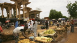 Глад убива десетки хиляди в районите на „Боко Харам”