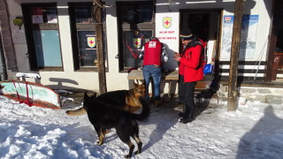 Планинските спасители организираха нова спасителна акция в Пирин Издирват се