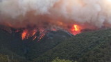 Пожарите в Австралия – като в пъкъла, даже пътищата се топят 