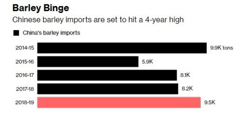 Вносът на ечемик в Китай е напът да достигне 4-годишен връх