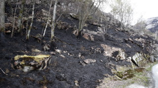 Изключително необичайно за април: Голям горски пожар в Норвегия