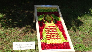 Тонове кюстендилски череши може да останат по дърветата