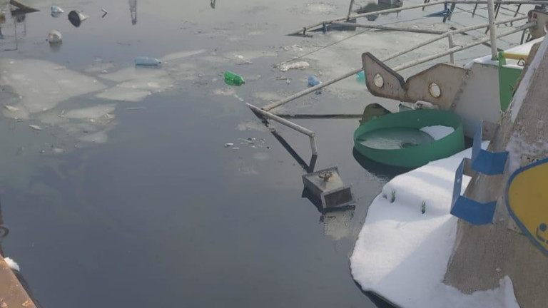 Изображение 750532