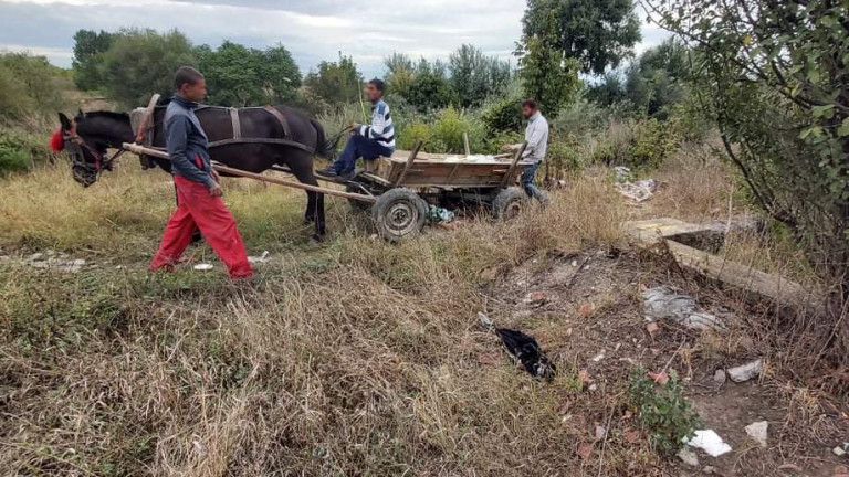 Изображение 500632