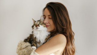 Всеки стопанин на домашен любимец би казал че любовта към