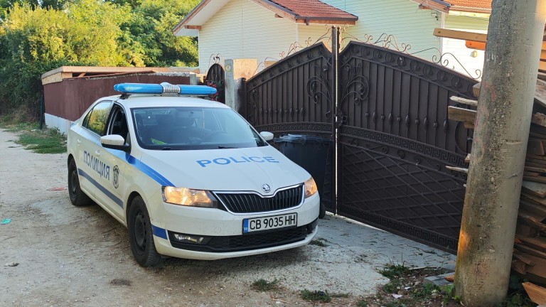 Изображение 730832