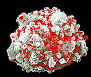 Merck прекратява тестването на ваксина срещу СПИН