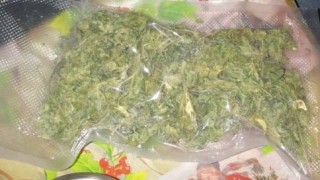 Голямо количество наркотици откриха в с. Столник