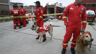 Хаити не може да поеме хуманитарната помощ