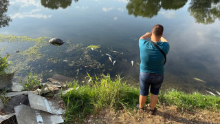 Сигнал умряла риба в река Марица в района на вливането